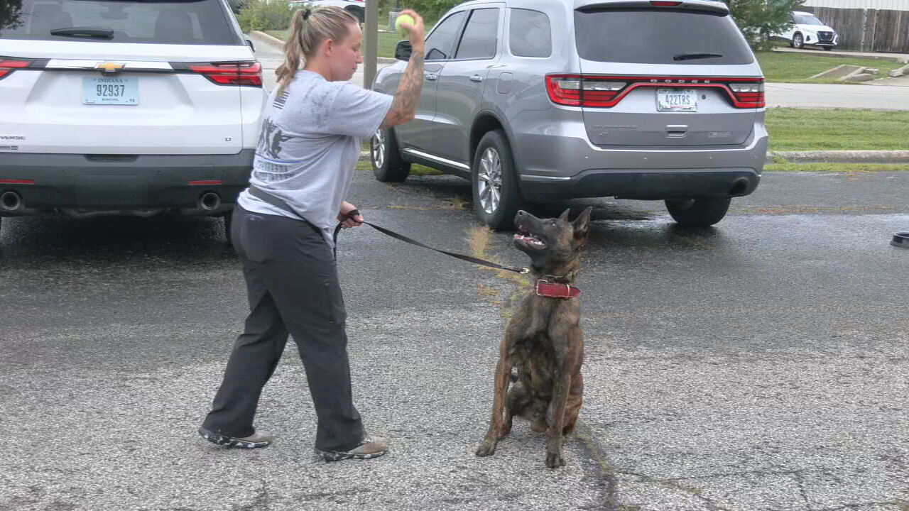 New Clarksville K9 officer (3).jpeg
